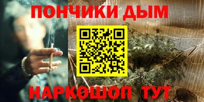 прущие грибы Камышлов
