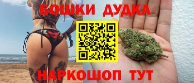 прущие грибы Камышлов