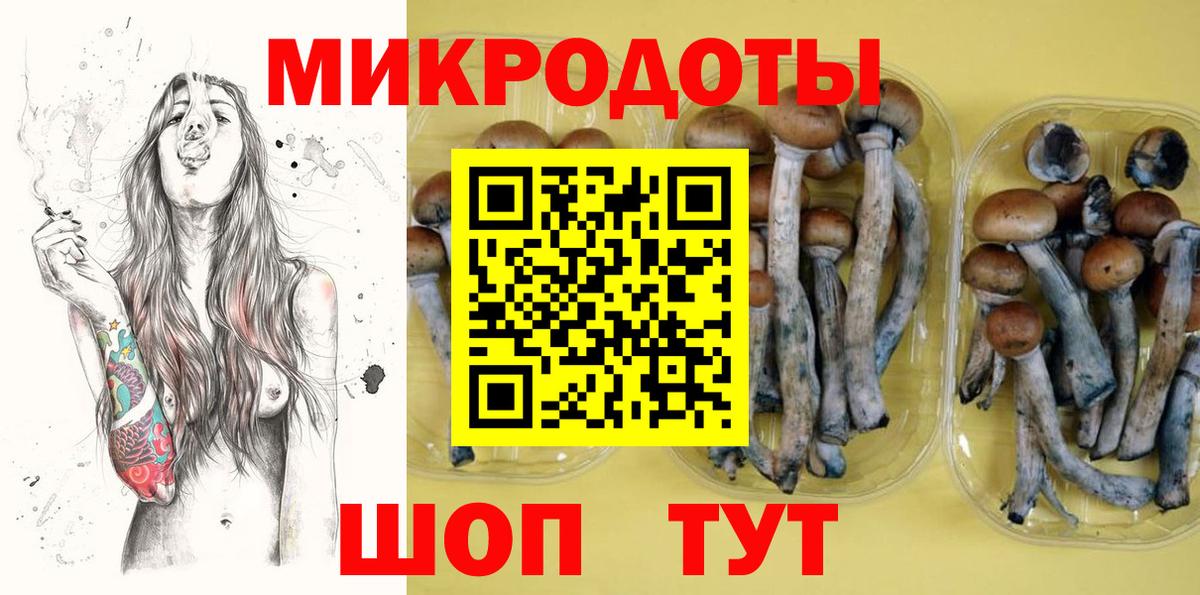 Галлюциногенные грибы Psilocybine cubensis Балашов