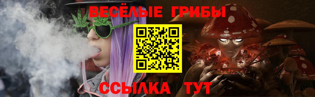Галлюциногенные грибы прущие грибы  Вход с VPN  Балашов 